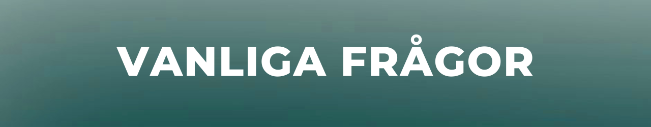 vanliga frågor om mga casino